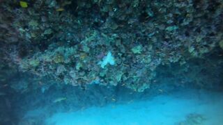 Faafu Nilandhoo после дайва куда на рыбалку идти пешком по берегу?