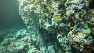 Faafu Nilandhoo после дайва куда на рыбалку идти пешком по берегу?