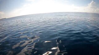 Faafu Nilandhoo после дайва куда на рыбалку идти пешком по берегу?