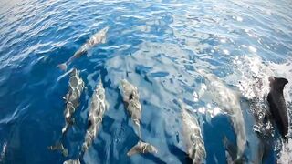 Faafu Nilandhoo после дайва куда на рыбалку идти пешком по берегу?