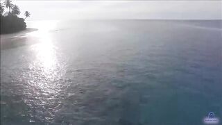 Meemu Mulah - береговой заброс по закату и неожиданная поклёвка