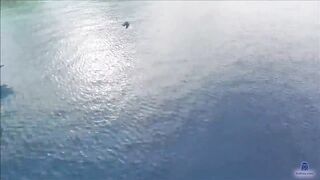 Meemu Mulah рыбалка с пирса под фонарями и утренний выход лодок