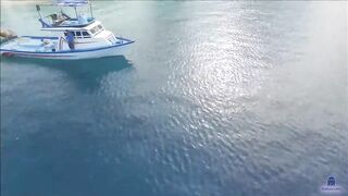 Meemu Mulah рыбалка с пирса под фонарями и утренний выход лодок