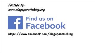 Meemu Mulah рыбалка с пирса под фонарями и утренний выход лодок