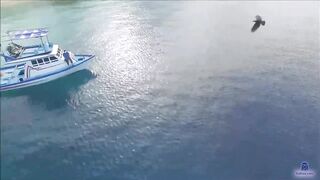 Meemu Mulah рыбалка с пирса под фонарями и утренний выход лодок