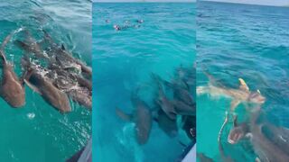 Meemu Hakuraa Huraa рыбалка возможна ли с пирса при такой чистой воде