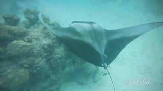 Meemu Atoll течения по графику и рыбалка на вечерней смене ветра