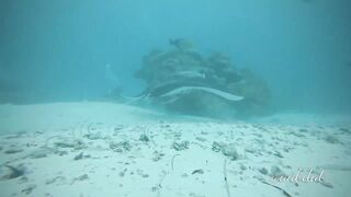 Meemu Atoll течения по графику и рыбалка на вечерней смене ветра