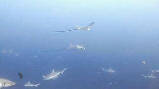 Meemu Atoll дневной штиль и морская рыбалка на границе лагуны