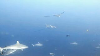 Meemu Atoll дневной штиль и морская рыбалка на границе лагуны