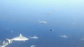 Meemu Atoll дневной штиль и морская рыбалка на границе лагуны