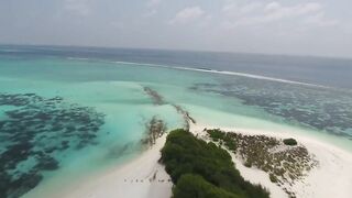 Мальдивы 2019, по атоллам и где морская рыбалка на каждом действительно доступна