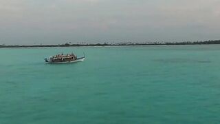 Мальдивы 2019, по атоллам и где морская рыбалка на каждом действительно доступна