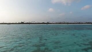 Мальдивы 2019, по атоллам и где морская рыбалка на каждом действительно доступна