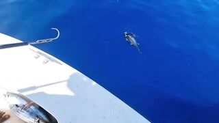 Dhaalu 474 Buoy первый выход и морская рыбалка в синем коридоре течений