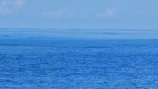 Dhaalu 474 Buoy первый выход и морская рыбалка в синем коридоре течений