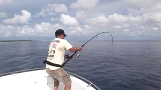 Gaafu Dhaalu GT серия часть 3 длинные проводки и короткий бой у лодки