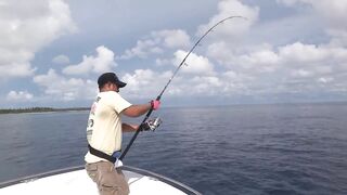 Gaafu Dhaalu GT серия часть 3 длинные проводки и короткий бой у лодки