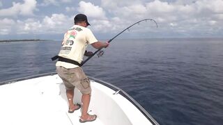 Gaafu Dhaalu GT серия часть 3 длинные проводки и короткий бой у лодки