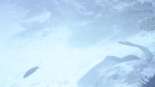 Haa Dhaalu на борту M/Y Amba морская рыбалка рядом с дайв спотами