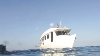 Haa Dhaalu на борту M/Y Amba морская рыбалка рядом с дайв спотами