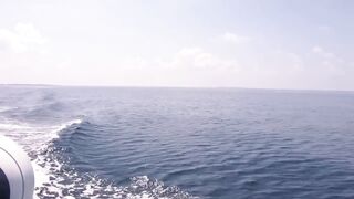 Haa Dhaalu на борту M/Y Amba морская рыбалка рядом с дайв спотами