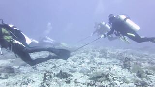 Haa Dhaalu на борту M/Y Amba морская рыбалка рядом с дайв спотами