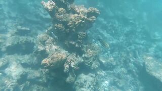 Dhaalu Trip 2020 - лодка SeaSpearMV и рыбалка на джиг у свалов