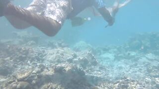 Dhaalu Trip 2020 - лодка SeaSpearMV и рыбалка на джиг у свалов