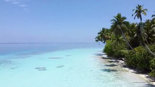 Dhaalu Trip 2020 - лодка SeaSpearMV и рыбалка на джиг у свалов