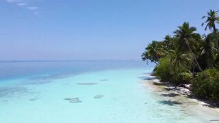 Dhaalu Trip 2020 - лодка SeaSpearMV и рыбалка на джиг у свалов