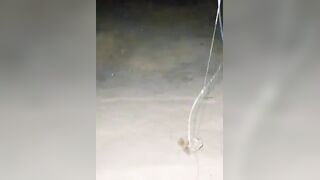 Fishing Trip: морская рыбалка в Мальдивах для новичка без ошибок