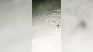 Fishing Trip: морская рыбалка в Мальдивах для новичка без ошибок