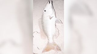 Fishing Trip: морская рыбалка в Мальдивах для новичка без ошибок