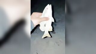 Fishing Trip: морская рыбалка в Мальдивах для новичка без ошибок