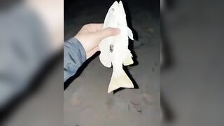 Fishing Trip: морская рыбалка в Мальдивах для новичка без ошибок