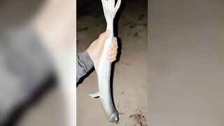 Fishing Trip: морская рыбалка в Мальдивах для новичка без ошибок