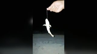 Fishing Trip: морская рыбалка в Мальдивах для новичка без ошибок