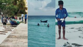 Laamu Gan spanish mackerel у причала рыбалка на забросе