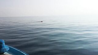 Laamu Gan MaaKandugai Kolhu elhun что это за точки и есть ли рыбалка рядом?