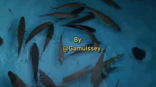 Laamu Gan MaaKandugai Kolhu elhun что это за точки и есть ли рыбалка рядом?