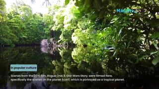 Морская рыбалка на Laamu Atoll и первые точки у пассов для поппинга