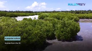 Морская рыбалка на Laamu Atoll и первые точки у пассов для поппинга