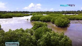 Морская рыбалка на Laamu Atoll и первые точки у пассов для поппинга
