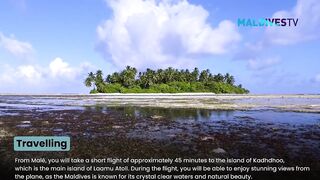 Морская рыбалка на Laamu Atoll и первые точки у пассов для поппинга