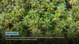 Морская рыбалка на Laamu Atoll и первые точки у пассов для поппинга