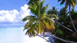 Морская рыбалка на Laamu Atoll и первые точки у пассов для поппинга
