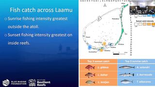 Laamu Atoll: как курорты берегут риф и рыбалка не страдает