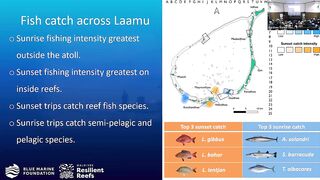Laamu Atoll: как курорты берегут риф и рыбалка не страдает
