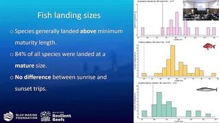 Laamu Atoll: как курорты берегут риф и рыбалка не страдает